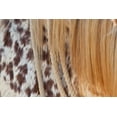thumbnail image 2 of Peterson, Lee 18x13 Black Ornate Wood Framed with Double Matting Museum Art Print Titled - Horse Up Close II, 2 of 4