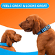 thumbnail image 5 of Collar para Perros Ancho Bungee con Asa - Perros y Collares para Perros Extra Suaves para Perros Medianos, 5 of 5