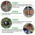 thumbnail image 3 of 20Pcs Reusable High Pressure  Ball Plant Rooting Growing Box for Plants Garden Tool Planting S, 3 of 8