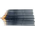 Transon 14pcs Art Painting Brush Set for Acrylic, Watercolor