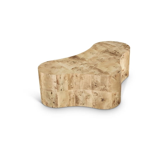 Meridian Furniture Zaire Burl Coffee Table