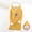 Yellow, variant on Qulqfy Long Sleeve Shirts Women Plus Size Black Fleece Lined Pullover Tops Floral Winter Hooded Shirts Womens Fall Tops
