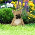 thumbnail image 5 of 2X French Bulldog Sculpture Ornament Dog Statue Figurine Outdoor Garden Decor Gift -Sitting Dog, 5 of 6