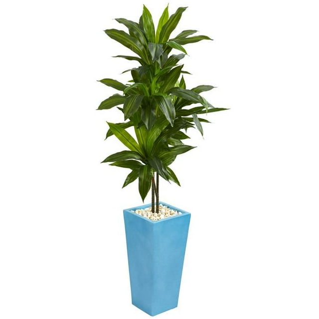 5 ft. Dracaena Artificial Plant in Turquoise Tower Vase
