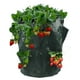thumbnail image 1 of Bolsa de fresas - Bolsa de plantación para fresas - X2, 1 of 5