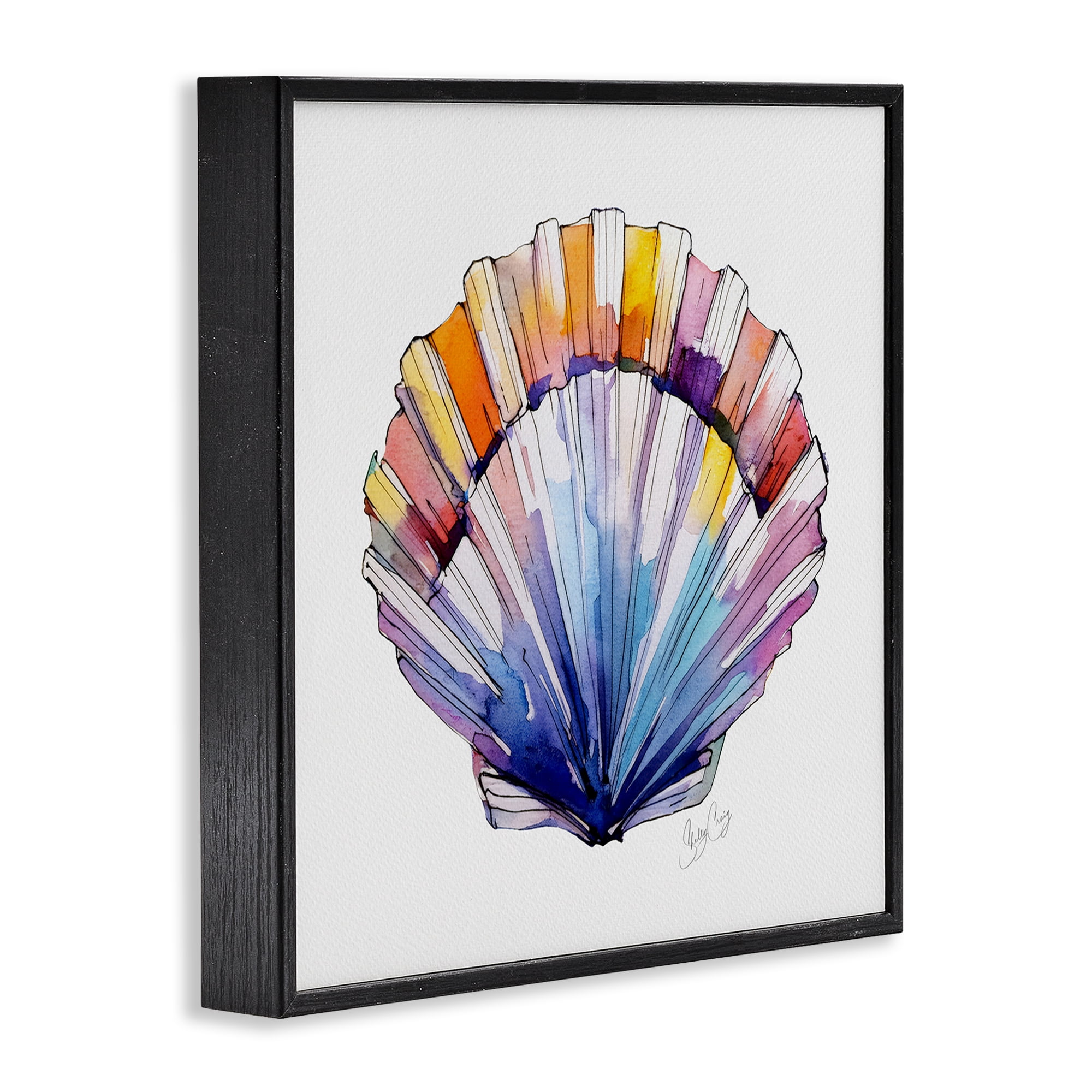 Stupell Industries Coastal Scallop Watercolor Black Framed Giclee Art, design by Shelly Craig