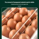 thumbnail image 5 of Bandejas para 32 huevos - Organizador de huevos para refrigerador, Tcwhniev - Contenedores de plástico de 2 niveles para guardar huevos con tapa y asa, apilables, color blanco, 5 of 8