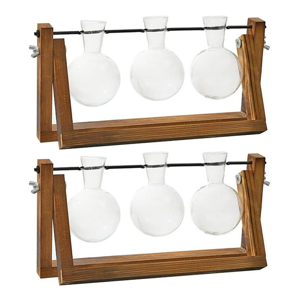 Exhibición Del Agua de Del Soporte Del Terrario de Del Florero de Cristal 2pcs