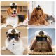 thumbnail image 4 of Sombrero de capitán para mascotas, sombrero de capitán de mar para marineros, sombrero de capitán blanco para perro, gato, cachorro, sombrero de disfraz de marinero para Halloween, 4 of 5