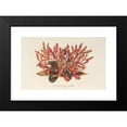 thumbnail image 2 of Charles Antoine Lemaire 14x11 Black Modern Framed Museum Art Print Titled - Alternanthera Sessile Var. Amenian (1854-1896), 2 of 5
