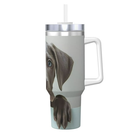 

Daiia Adorable Puppy Portrait Printed 40 oz Tumbler with Handle Ice Bully Insulated Tumbler 2 in 1 Lid Insulated Water Bottle Stainless Steel Travel Coffee Mug