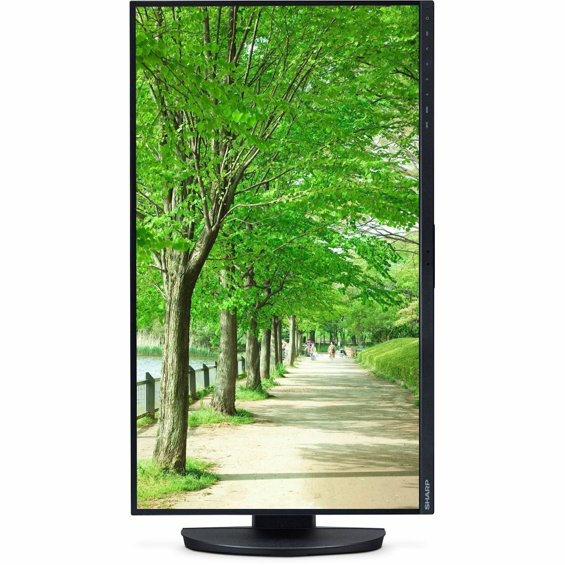 Sharp MultiSync DD-EA242W 24" Class WUXGA LED Monitor - 16:10 - Black - 24" Viewable - In-plane Switching (IPS) Technology - LED Backlight - 1920 x 1200 - 16.7 Million Colors - 300 Nit - 6 ms - 62 ...
