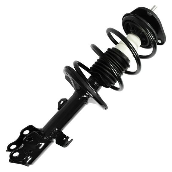 Suspension Strut and Coil Spring Assembly
