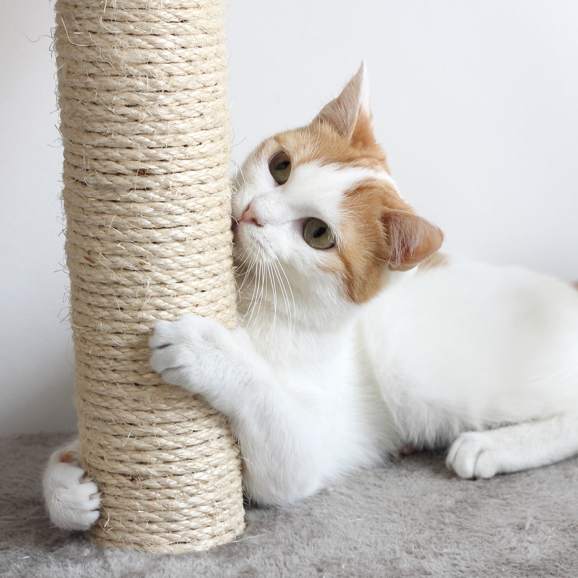 4-Tier Cat Tower with Napping Perches, Cat Condo, Ladder, 5 Sisal
