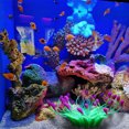 thumbnail image 4 of Decoración de peces de acuario Artificial, anémona de mar de silicona, adorno de peces artificiales, 4 of 8