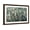 Brown Frame, variant on Art.com White Blooms with Navy I Art Print by Tim O'toole, 18" x 12"