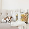 thumbnail image 4 of Ambesonne Beach Throw Pillow Cover 2 Pack, Sea Shells and Starfish, 16", Earth Yellow Cream, 4 of 5