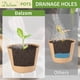 thumbnail image 4 of Macetas de turba Dalzom de 4 pulgadas y 60 unidades con etiquetas para plantas biodegradables, 4 of 7