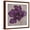 Brown Frame, variant on Art.com Black Plum 2 Stretched Canvas Print Wall Art by Ariane Martine, 16" x 16"