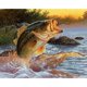 thumbnail image 1 of Cuadros Decorativos Pintura de lienzo de animales por números Kit de dibujo pintado a mano al óleo decoración de la habitación del hogar Tmvgtek embutido en tela, 1 of 9