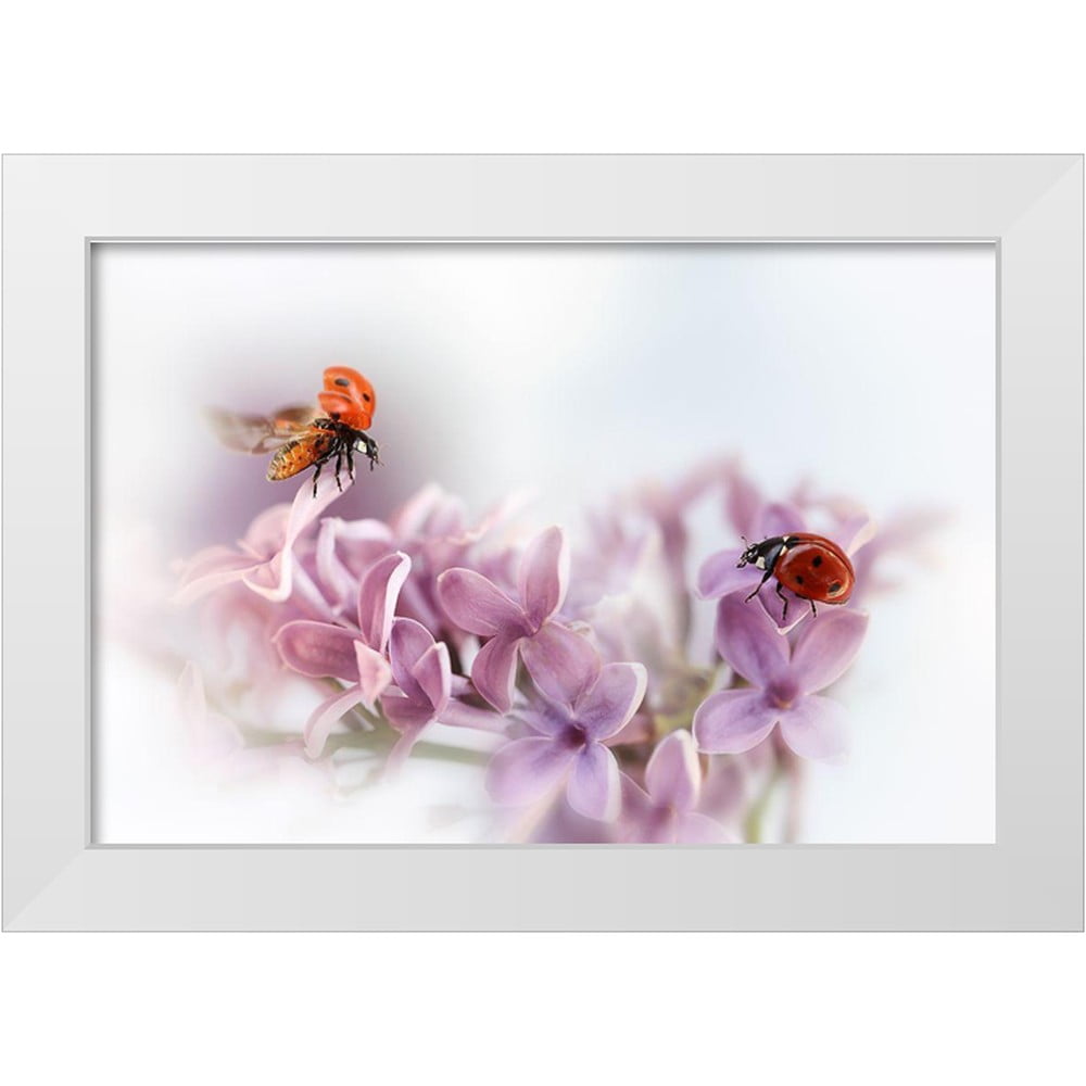 Deelen Ellen van 32x23 White Modern Wood Framed Museum Art Print Titled - Almost Summer