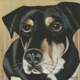 thumbnail image 2 of Roll, Dlynn 15x15 White Modern Wood Framed Museum Art Print Titled - Dlynns Dogs - Ginger, 2 of 4