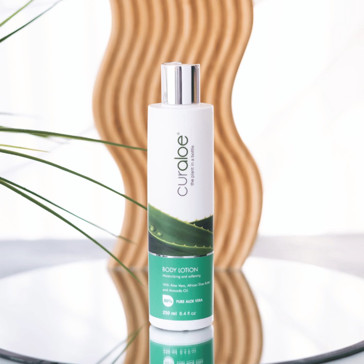 Body Lotion Daily Moisturizing