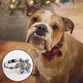thumbnail image 5 of Collar ajustable para mascotas con regalo de flores para perros pequeños, medianos y grandes MFZFUKR CPB-US-YY216-2, 5 of 5