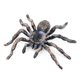 thumbnail image 4 of 2pcs 9.5cm Animal Model Large Fake Realistic Spider Insect Model Toy Fun Halloween Decor Scary Prop, 4 of 5