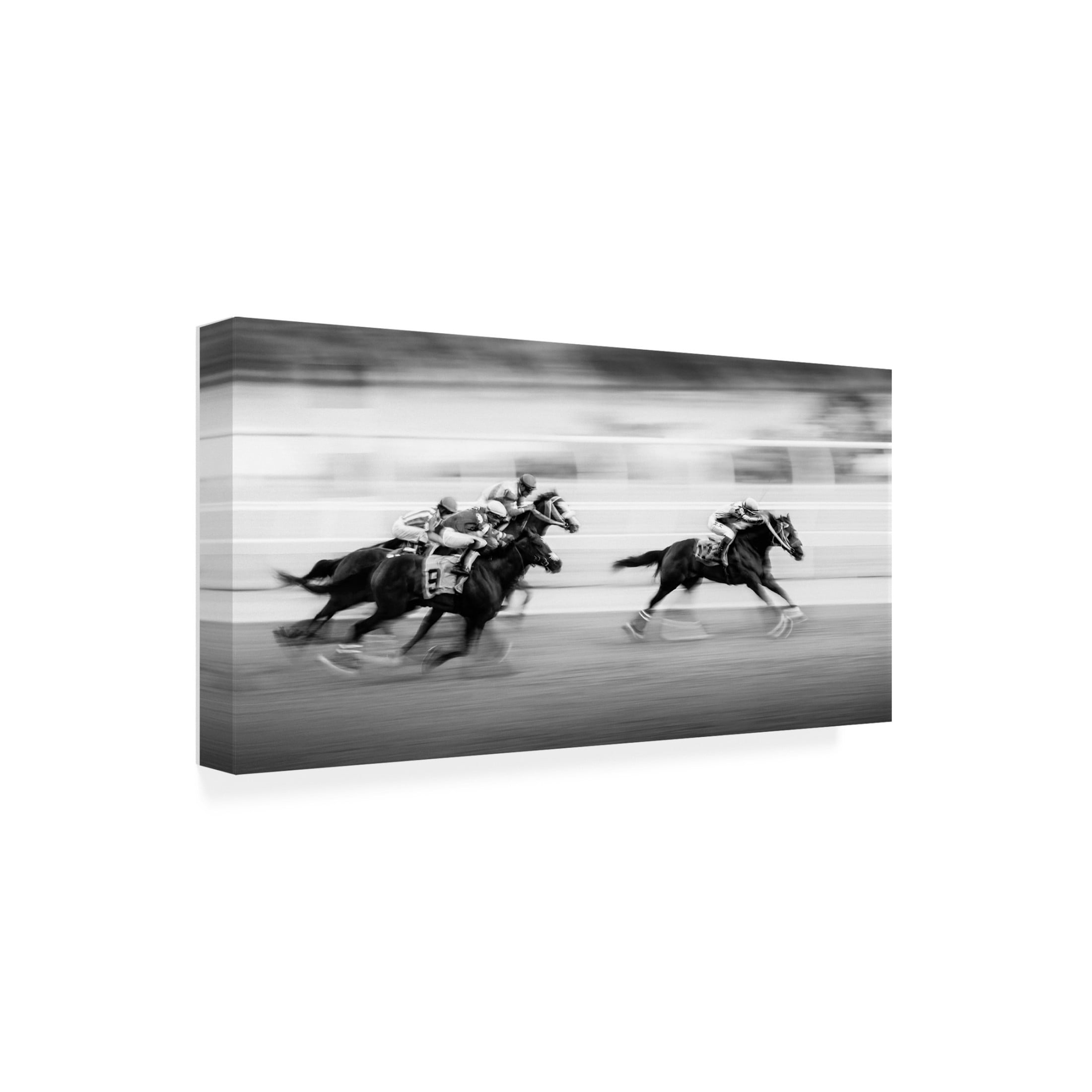 Trademark Fine Art Steven Zhou  Taking the Lead Canvas Wall Art