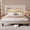 Queen-Beige, variant on Asofer Full Upholstered Platform Bed, RGB LED Light & Multi Charging Ports, 2-Tier Storage Headboard, Heavy Duty Bed Base No Box Spring Required, Beige