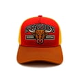 thumbnail image 1 of Knite Gorra trucker Station Bull con malla trasera visera curva hombre, 1 of 4