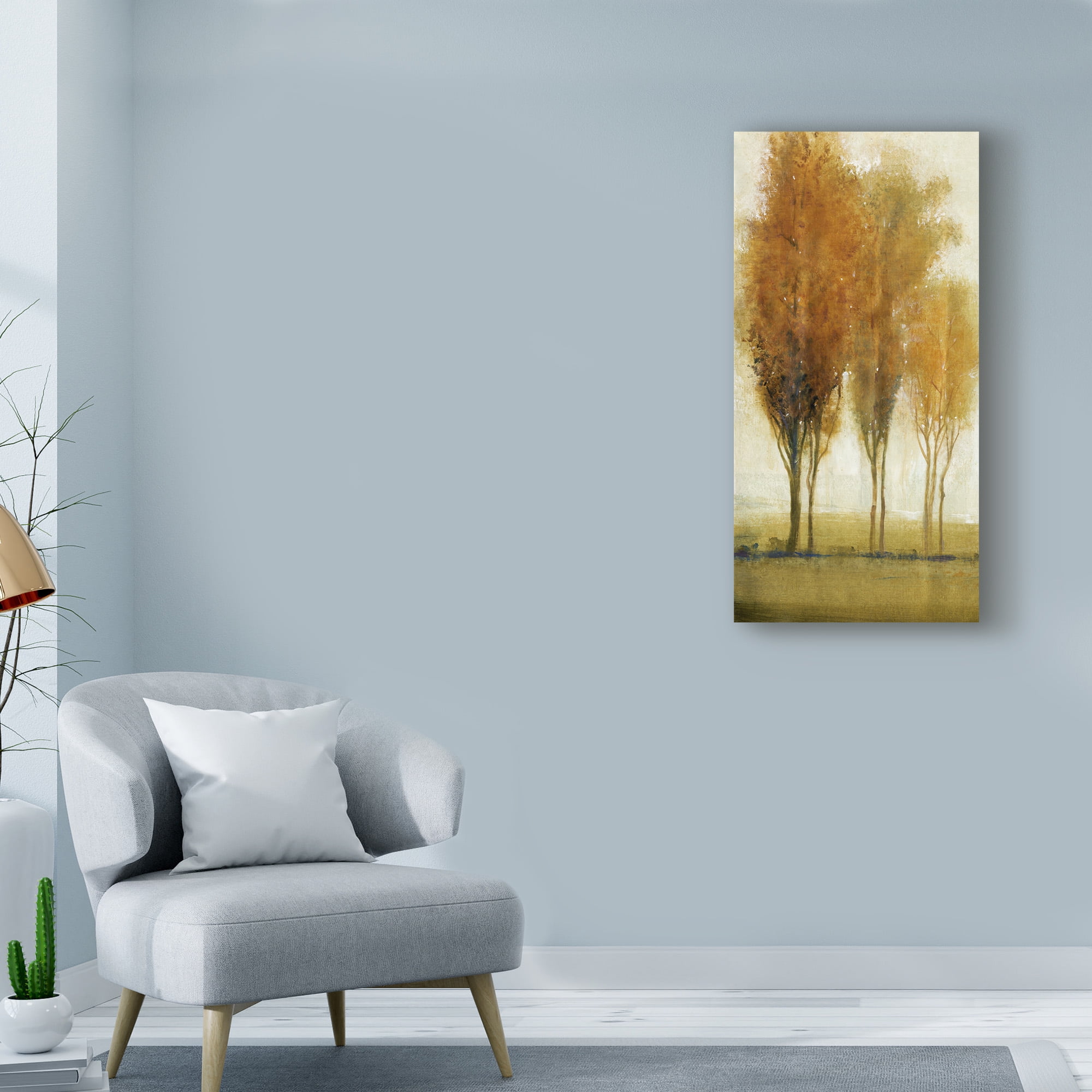 Trademark Fine Art 'Balance I' Canvas Art by Tim OToole