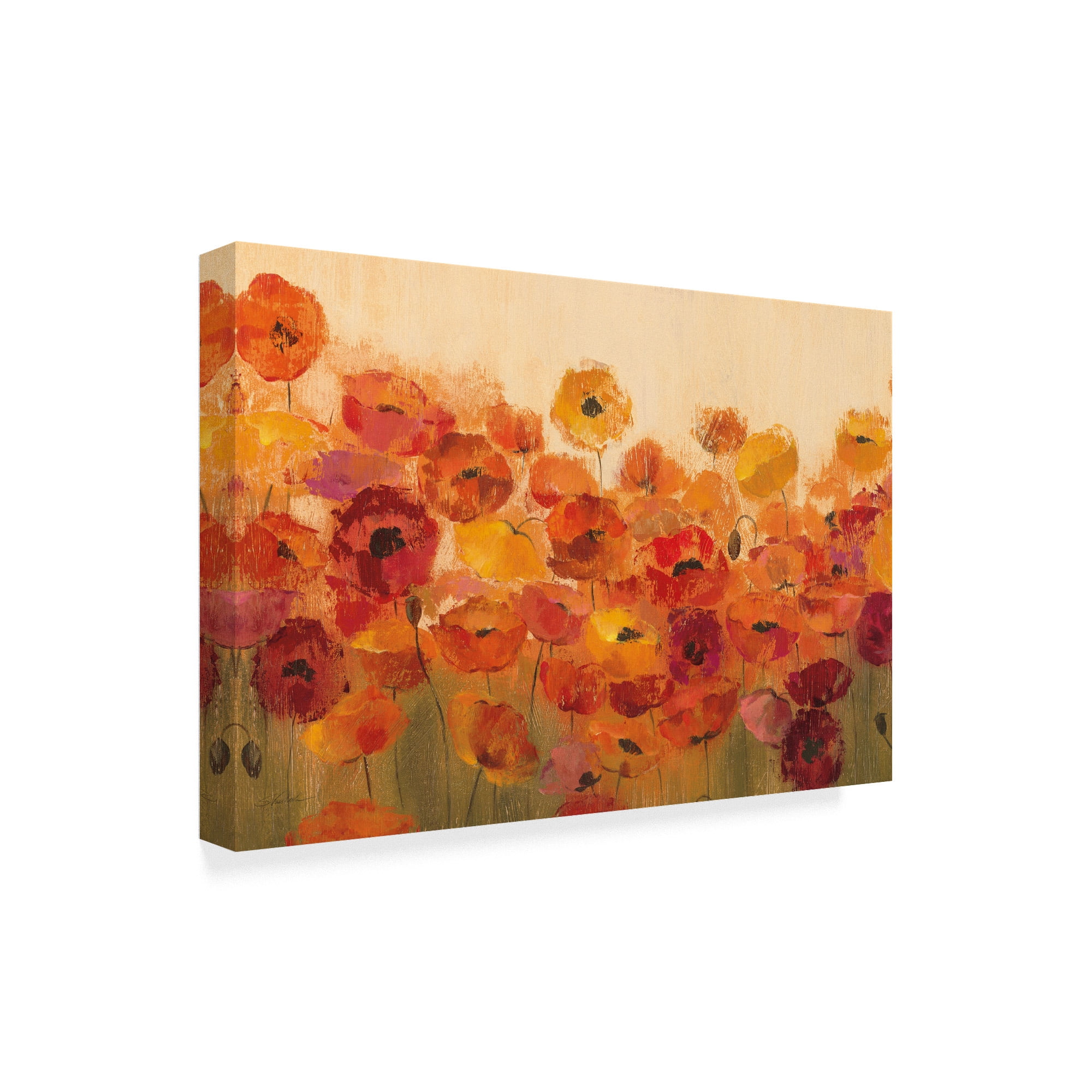 Trademark Fine Art 'Summer Poppies' Canvas Art by Silvia Vassileva