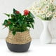 thumbnail image 4 of Cesta de almacenamiento tejida de algas marinas naturales BuyWeek plegable, 4 of 9