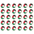 thumbnail image 1 of Insignias La Nacional Palestina Insignia Esmaltada Cristal Traje Recuerdo (25 Mm), 1 of 2