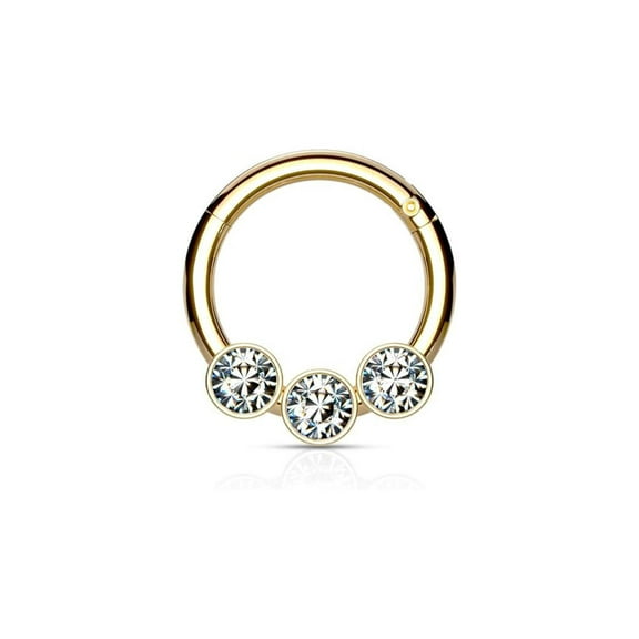 Surgical Steel Hinged Segment Hoop Septum Ring 16 Gauge 3 Forward Gem