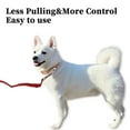 thumbnail image 2 of Correa para perros de entrenamiento de 15 metros con mango de espuma para perros pequeños y medianos, correa para cachorros roja, 2 of 6