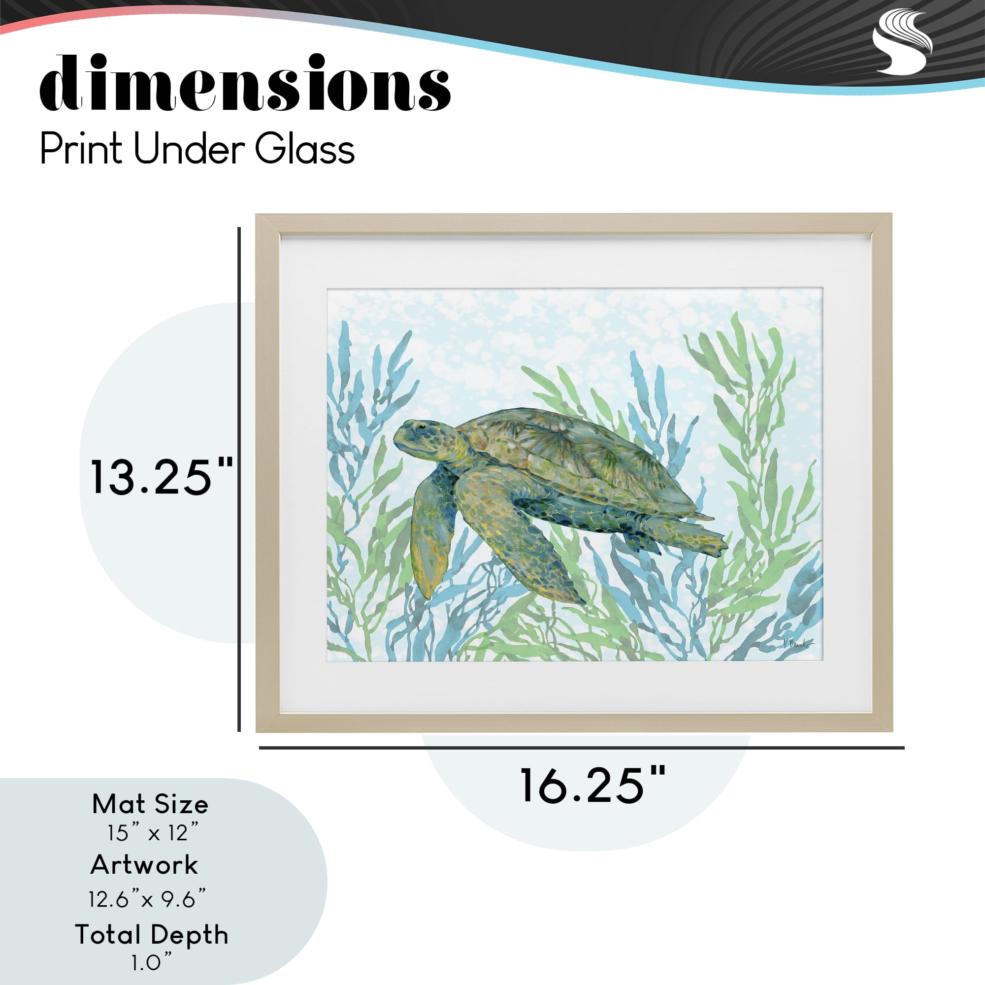 Stupell Industries Tasman Turtle in Seagrass Birch Framed Print Under Glass, design by Paul Brent