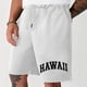 thumbnail image 1 of WILLBEST Pantalones Cortos Deportivos para Hombre, Pantalones Cortos Estampados de Resort, Pantalones de Playa con Cintura Elástica y Cordón Ajustable, 1 of 4
