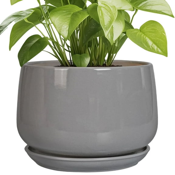 9 inch Ceramic Planter -Large Shallow Planter with Drainage,Modern Round Flower Pots Pot for Indoor Plants & Succulent Gardens Housewarming Gift Grey