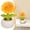B, variant on Clearance Under $3 Sunflower Figurine Cactus Figurine Resin For Desk Zen Garden Shelf Succulent Decor (E) (1Pc)
