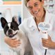 thumbnail image 5 of Pet Hair Dryer Grooming for Cat and Dog Brush Salon Blower EU Plug, 5 of 5