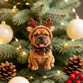thumbnail image 5 of Cheapark Christmas 2D Acrylic Hanging Ornament Flat Holiday Pendant Decoration for Xmas Tree Seasonal Decor Gift, 5 of 6