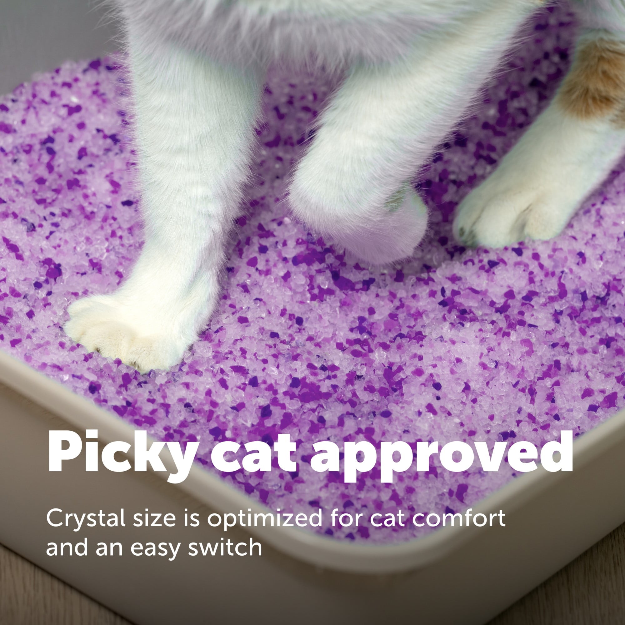 PetSafe ScoopFree Lavender Crystal Cat Litter, 10 lb Bag