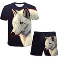 thumbnail image 1 of Conjuntos de ropa informal de lobo para niños y niñas, camisetas de dibujos animados, pantalones cortos, conjuntos de ropa para niños, 2 uds., trajes de 1 a 14 años, 2023 Gao Jinjia LED, 1 of 2