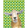 thumbnail image 1 of Carolines Treasures RDR3025CHF St Patricks Jour Chèvre Drapeau Toile Maison Taille, 1 of 4
