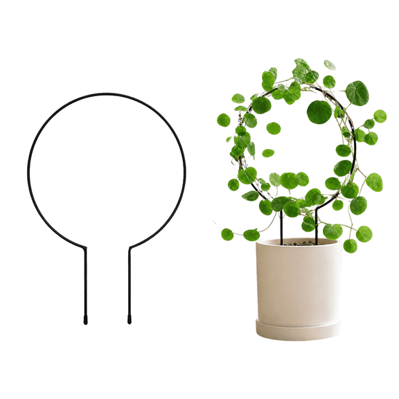 Iron Round Plant Trellis for Indoor Potted Plants, 13.4" Black Small Climbing Plant Support Stakes for Outdoor Garden Ivy Vines Houseplants