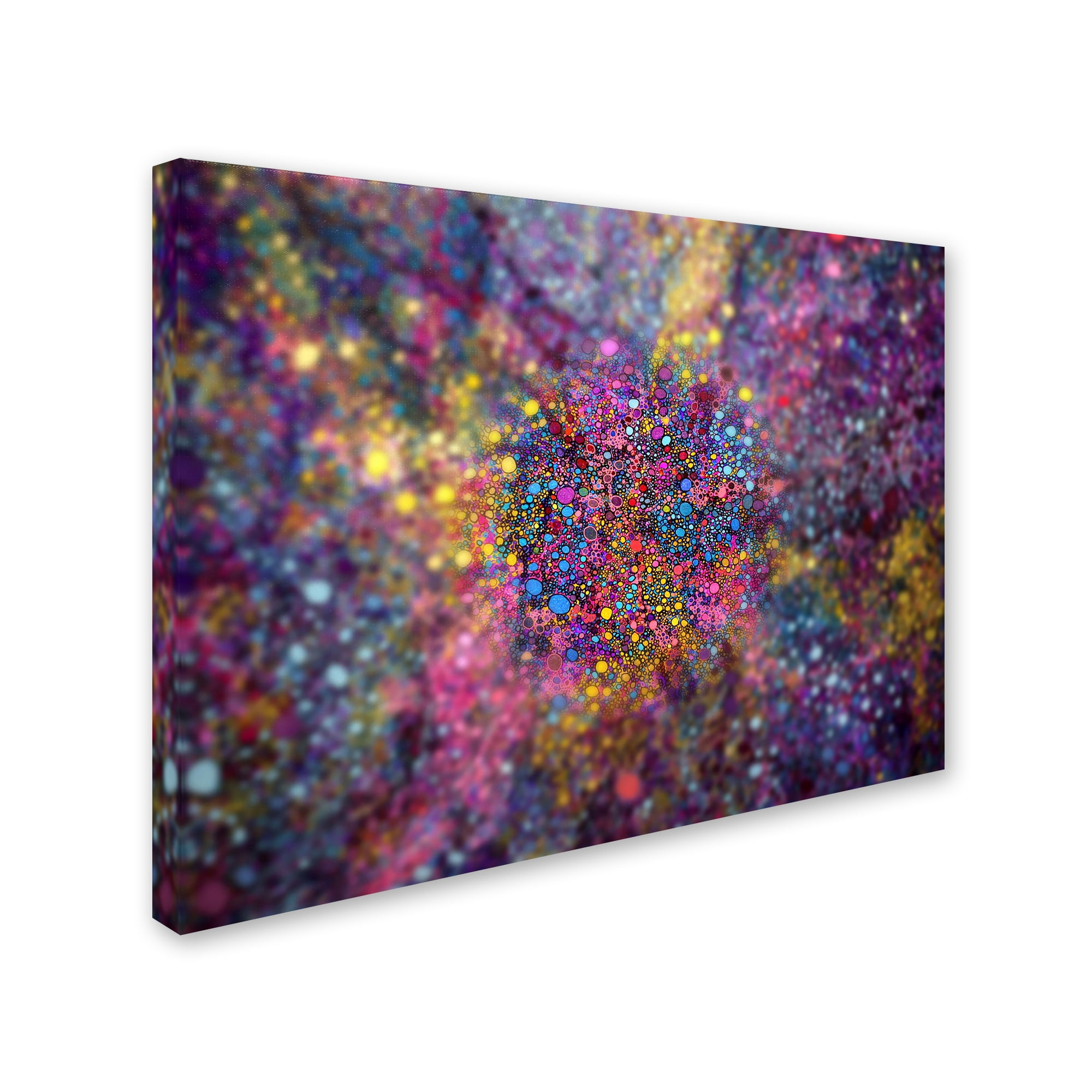 Trademark Fine Art 'Clarity of Insight' Canvas Art by MusicDreamerArt