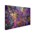thumbnail image 2 of Trademark Fine Art 'Clarity of Insight' Canvas Art by MusicDreamerArt, 2 of 3